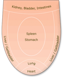 tongue_diagnosis