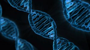 DNA Begins As a Quantum Wave, The New Science