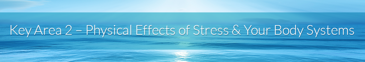 Key Area 2 — Physical Effects of Stress & Your Body Systems