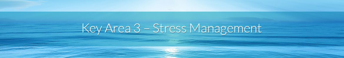 Key Area 3 — Stress Management