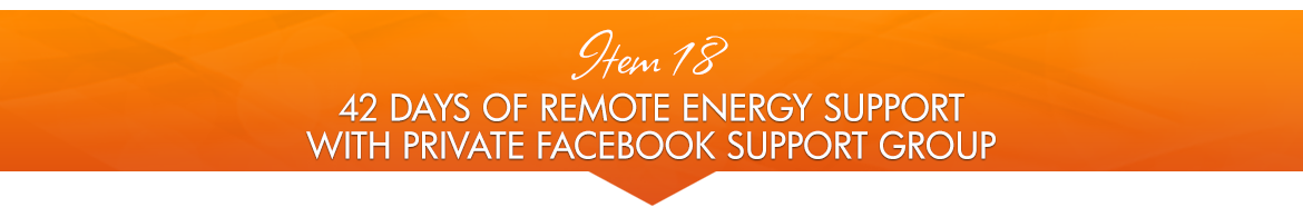 Item 18: 42 Days of Remote Energy Support with Private Facebook Support Group