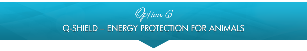 Option 6: Q-Shield — Energy Protection for Animals