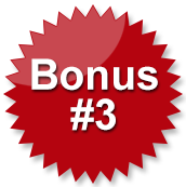 Bonus #3