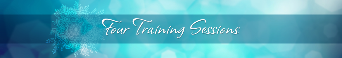 4 Training Sessions