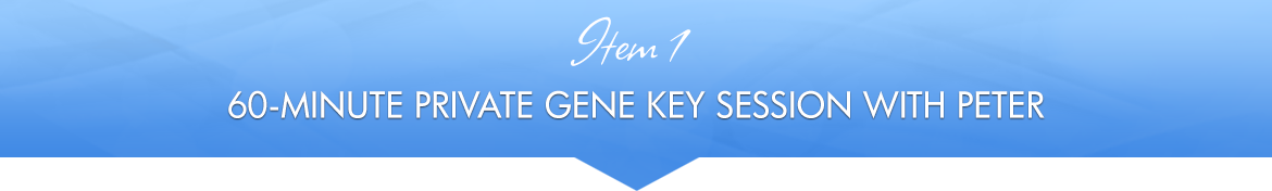 Item 1: 60-Minute Private Gene Key Session with Peter