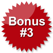 Bonus #3