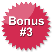 Bonus #3