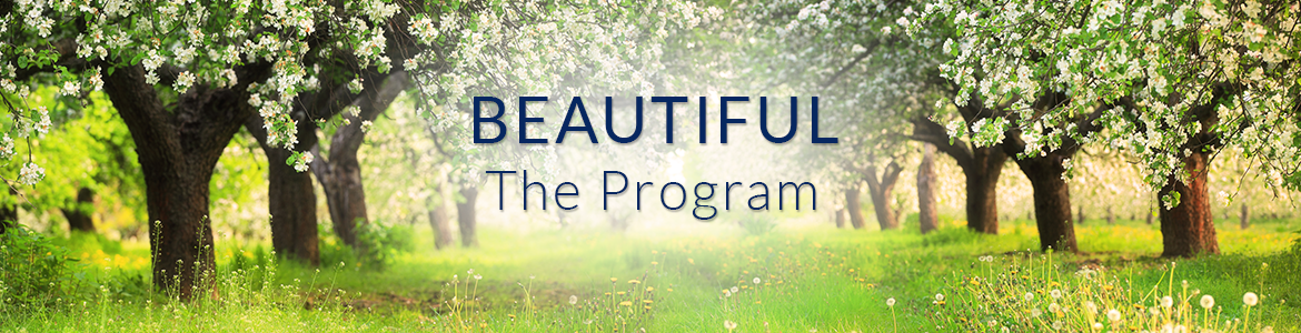 Beautiful — The Program