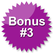 Bonus #3