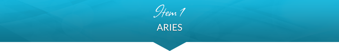 Item 1: Aries