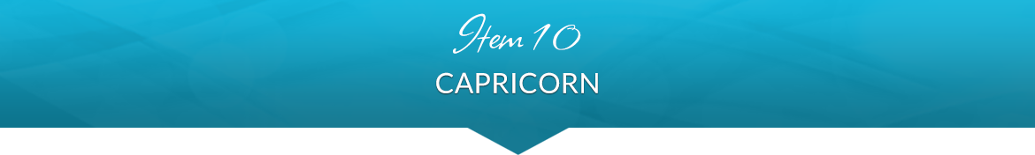 Item 10: Capricorn