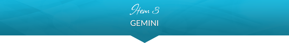 Item 3: Gemini