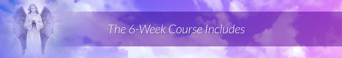 The 6-Week Course Includes