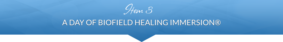 Item 3: A Day of Biofield Healing Immersion®