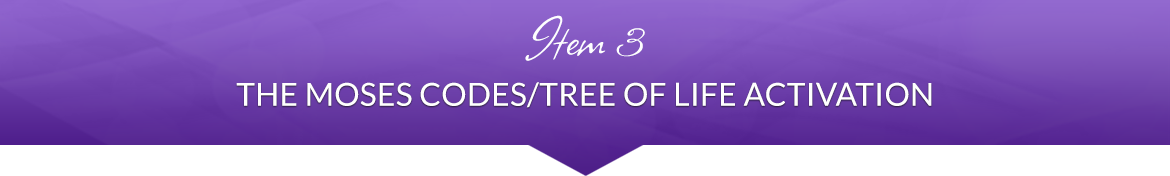Item 3: The Moses Codes/Tree of Life Activation