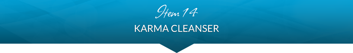 Item 14: Karma Cleanser