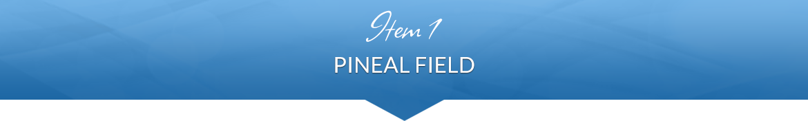 Item 1: Pineal Field
