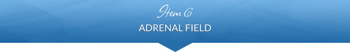 Item 6: Adrenal Field