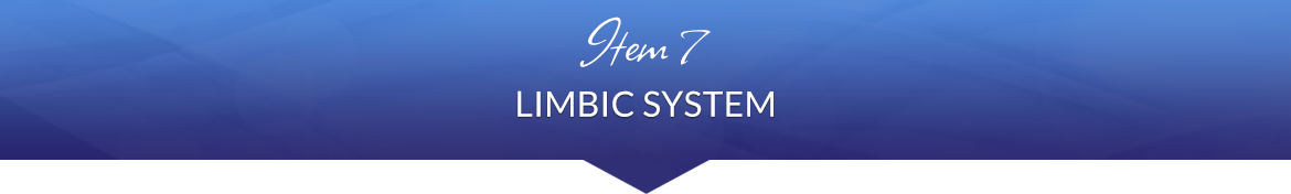 Item 7: Limbic System