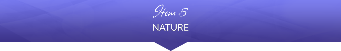Item 5: Nature
