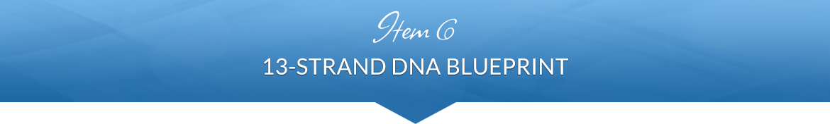 Item 6: 13-Strand DNA Blueprint