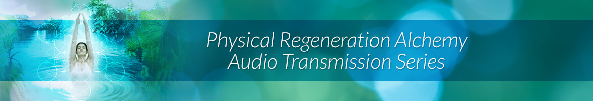 Physical Regeneration Alchemy Audio Transmission Series