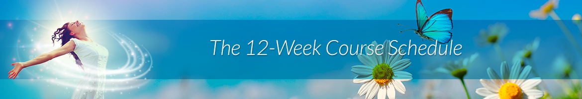 The 12-Week Course Schedule