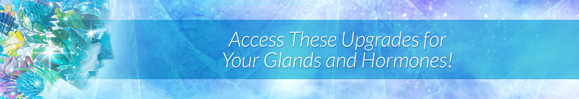 Access These Upgrades for Your Glands and Hormones!