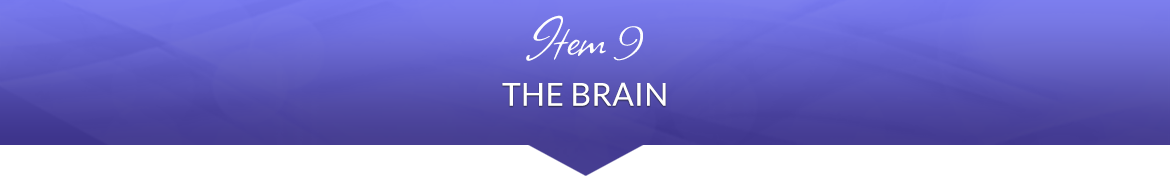 Item 9: The Brain