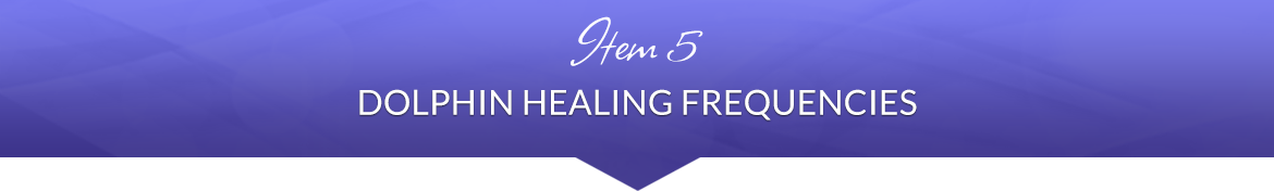 Item 5: Dolphin Healing Frequencies