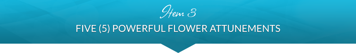 Item 3: Five (5) Powerful Flower Attunements