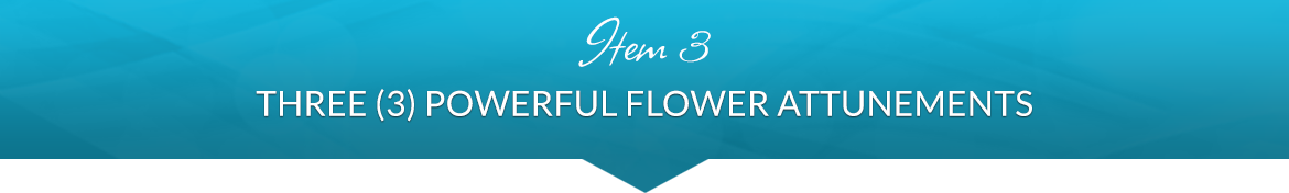 Item 3: Three (3) Powerful Flower Attunements