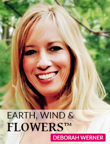Deborah Werner