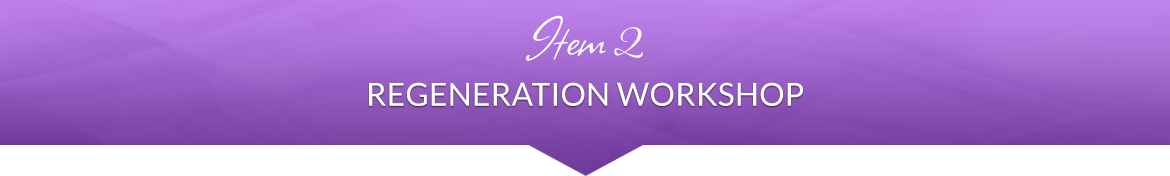 Item 2: Regeneration Workshop