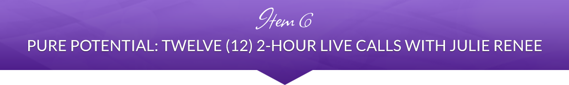 Item 6: Pure Potential: Twelve (12) 2-Hour Live Calls with Julie Renee