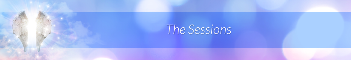 The Sessions