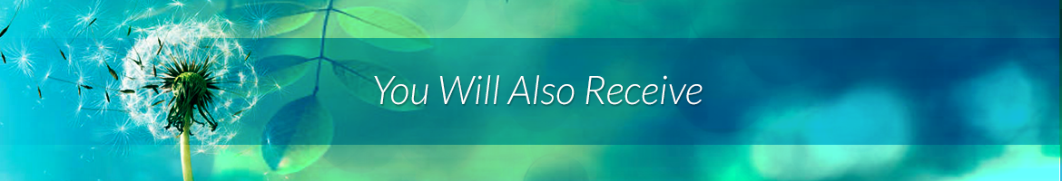 You Will Also Receive