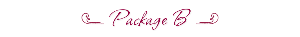 PackageB PINGCOURSE - The Best Discounted Courses Market